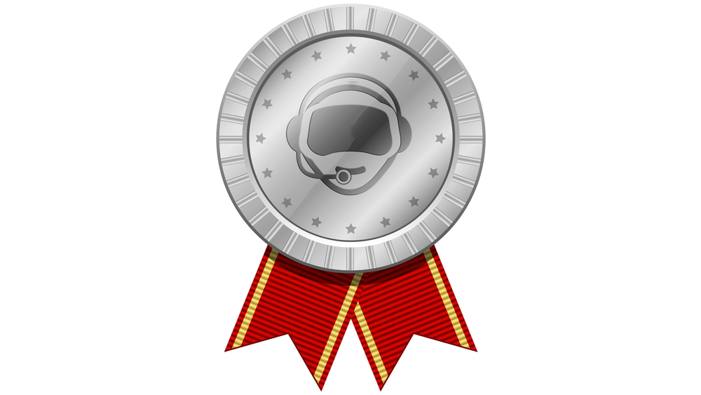 Silver Party Medal