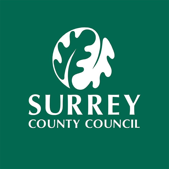 Surrey Council Logo Alternative Provision