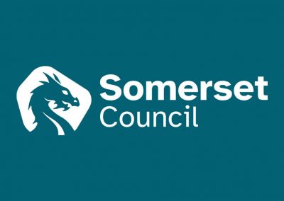 Somerset Council Approved Alternative Provision Logo Blue