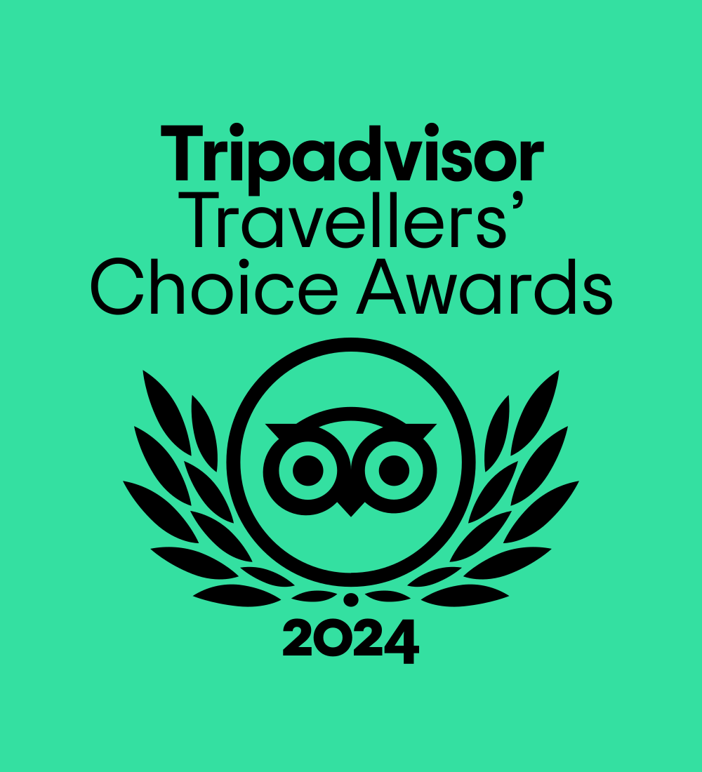 Player Ready Wins TripAdvisor Awards for 4th Year!!